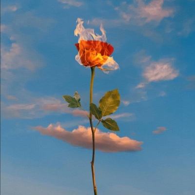 半岛游戏官方网站入口